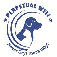 Perpetual Well image 1